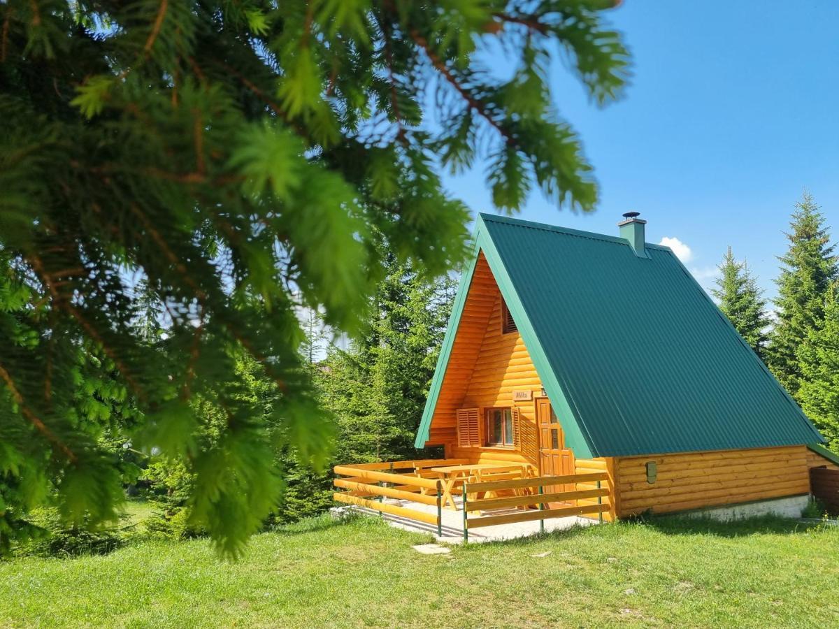 Hedonist Village Žabljak Dış mekan fotoğraf