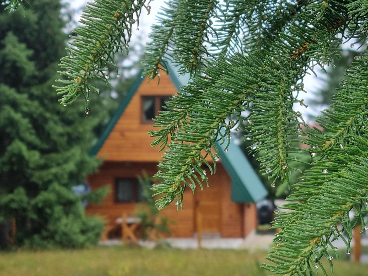 Hedonist Village Žabljak Dış mekan fotoğraf